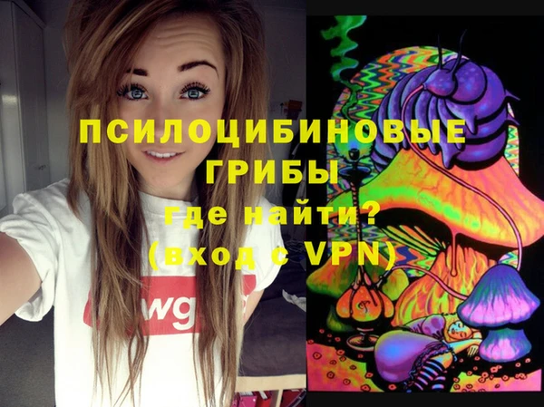 PSILOCYBIN Волоколамск